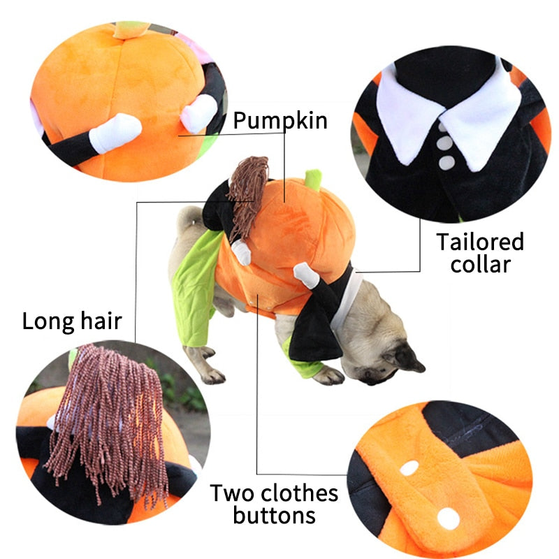 Pumpkin Carriers