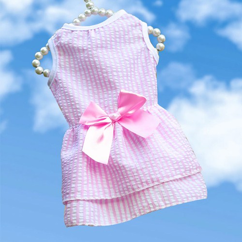Princess Dress