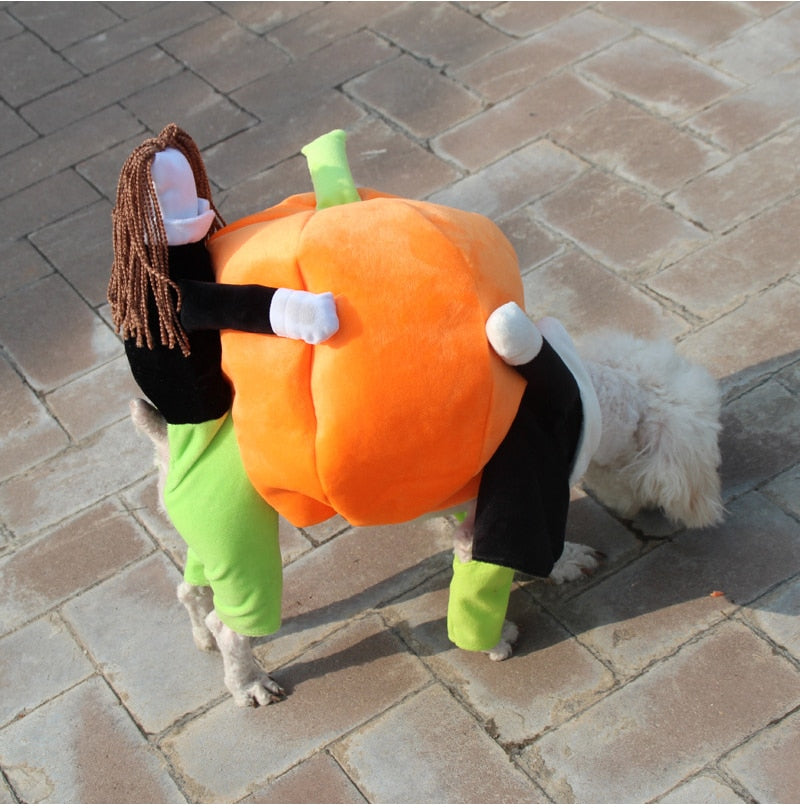 Pumpkin Carriers