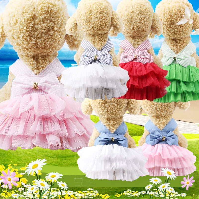 Princess Dress