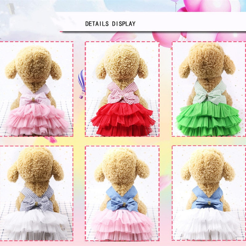 Princess Dress