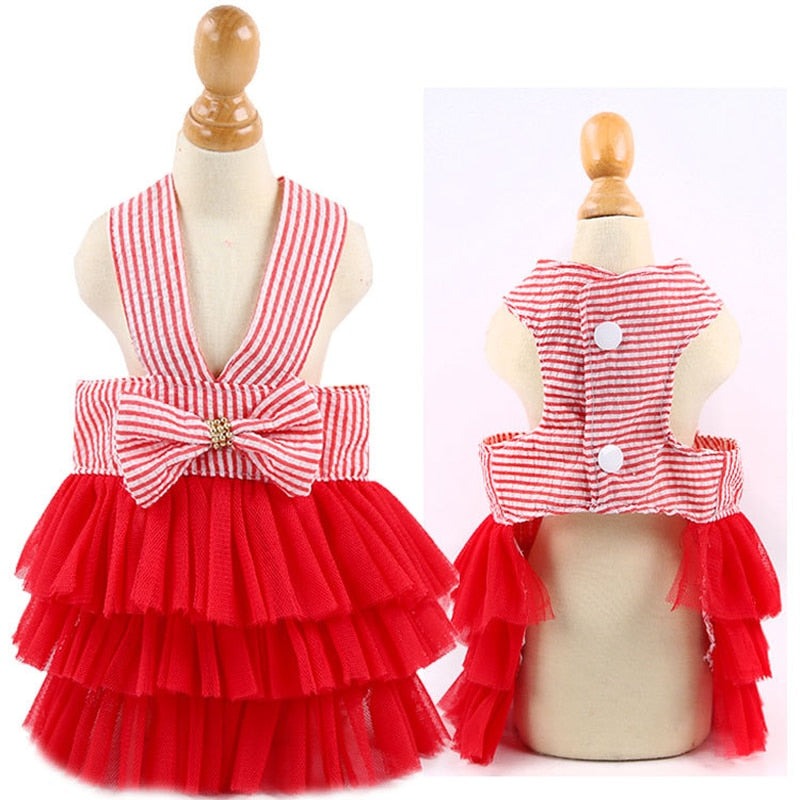 Princess Dress