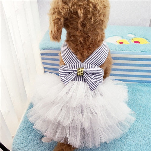Princess Dress
