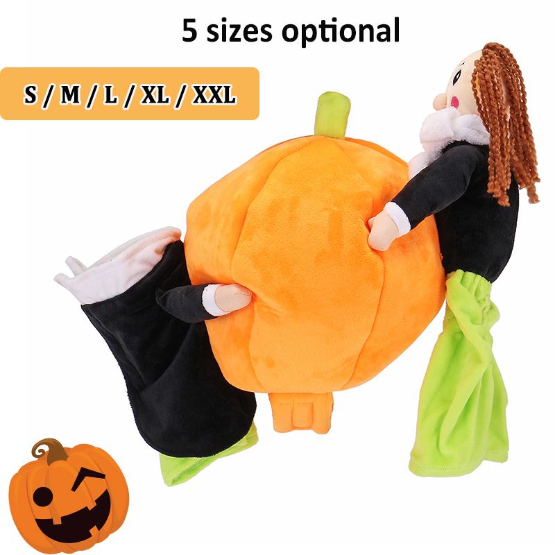 Pumpkin Carriers