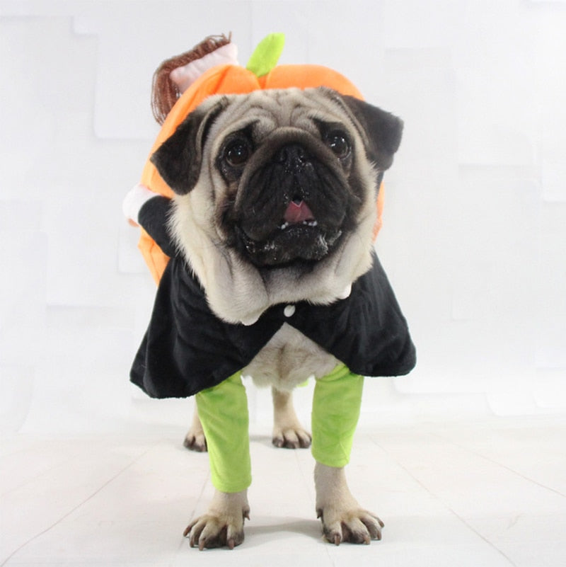 Pumpkin Carriers