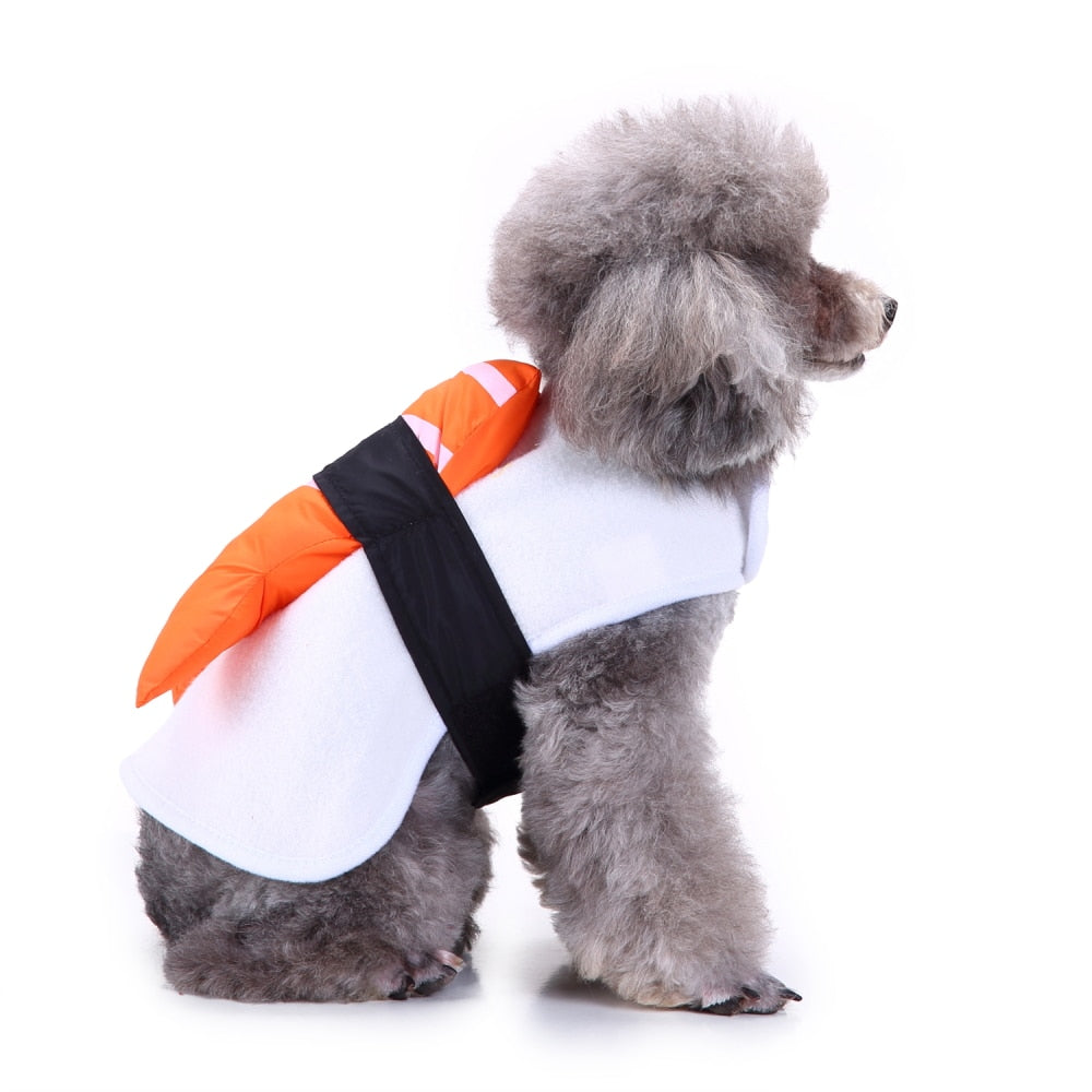 Sushi Costume