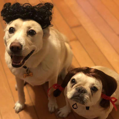 Pet Wigs