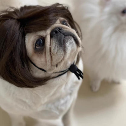 Pet Wigs