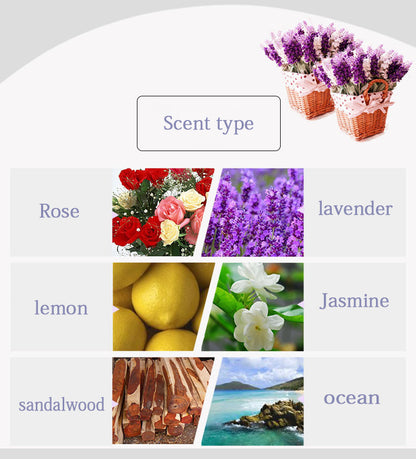 6pc Essential Oil Set